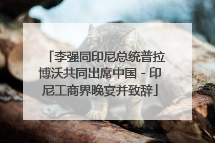 李强同印尼总统普拉博沃共同出席中国－印尼工商界晚宴并致辞