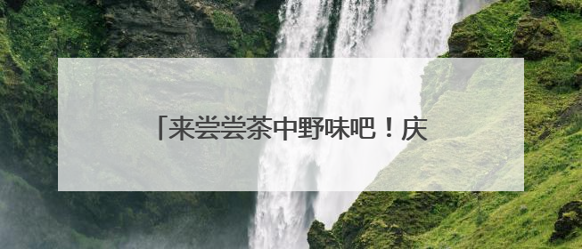 来尝尝茶中野味吧！庆元荒野茶推介会举行