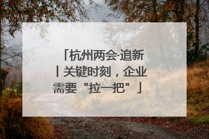 杭州两会·追新丨关键时刻，企业需要“拉一把”