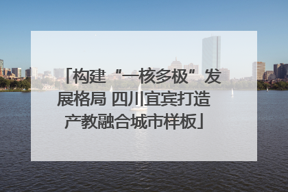 构建“一核多极”发展格局 四川宜宾打造产教融合城市样板