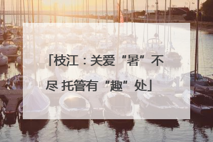 枝江：关爱“暑”不尽 托管有“趣”处