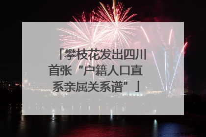 攀枝花发出四川首张“户籍人口直系亲属关系谱”