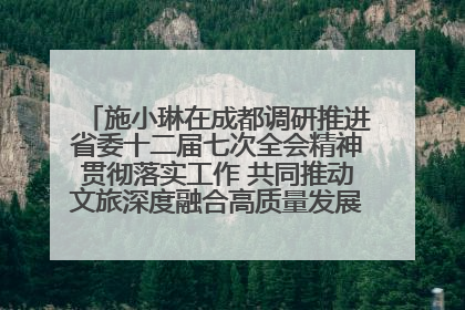 施小琳在成都调研推进省委十二届七次全会精神贯彻落实工作 共同推动文旅深度融合高质量发展 加快打造支柱产业民生产业幸福产业