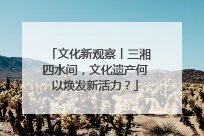 文化新观察丨三湘四水间，文化遗产何以焕发新活力？