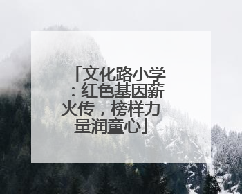 文化路小学：红色基因薪火传，榜样力量润童心