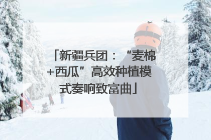 新疆兵团：“麦棉+西瓜”高效种植模式奏响致富曲