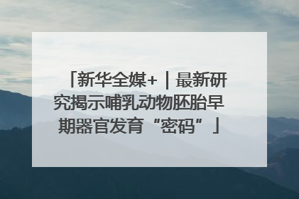 新华全媒+｜最新研究揭示哺乳动物胚胎早期器官发育“密码”