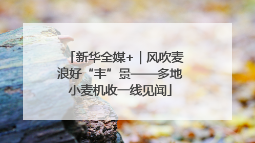 新华全媒+｜风吹麦浪好“丰”景——多地小麦机收一线见闻