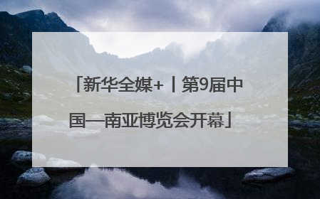 新华全媒+丨第9届中国—南亚博览会开幕