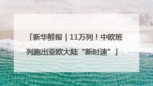 新华鲜报｜11万列！中欧班列跑出亚欧大陆“新时速”