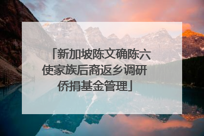 新加坡陈文确陈六使家族后裔返乡调研侨捐基金管理