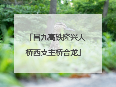 昌九高铁隆兴大桥西支主桥合龙