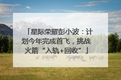 星际荣耀彭小波：计划今年完成首飞，挑战火箭“入轨+回收”