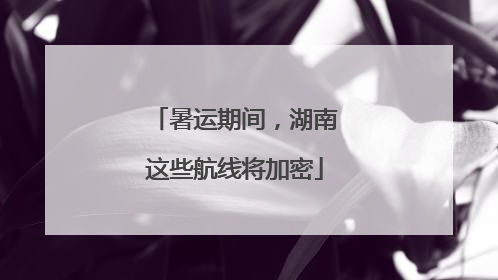 暑运期间，湖南这些航线将加密