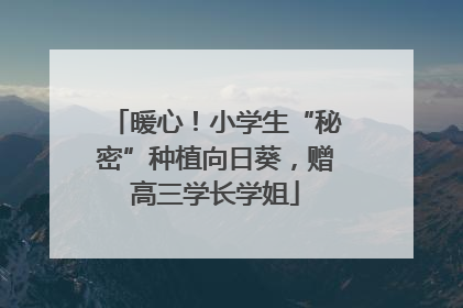 暖心！小学生“秘密”种植向日葵，赠高三学长学姐