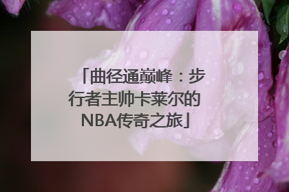 曲径通巅峰：步行者主帅卡莱尔的NBA传奇之旅