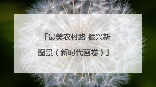 最美农村路 振兴新图景（新时代画卷）