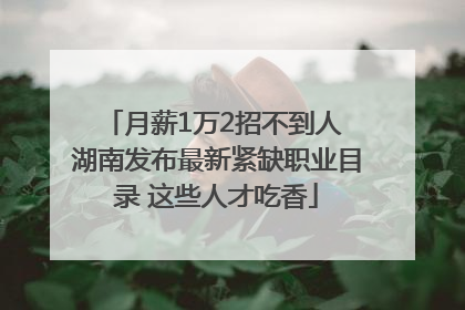 月薪1万2招不到人 湖南发布最新紧缺职业目录 这些人才吃香