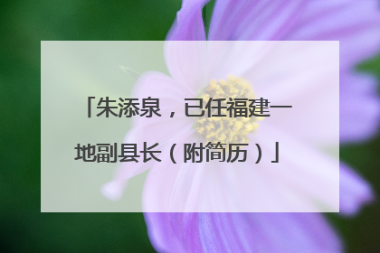 朱添泉，已任福建一地副县长（附简历）