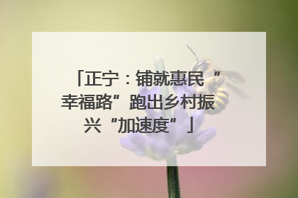正宁：铺就惠民“幸福路”跑出乡村振兴“加速度”