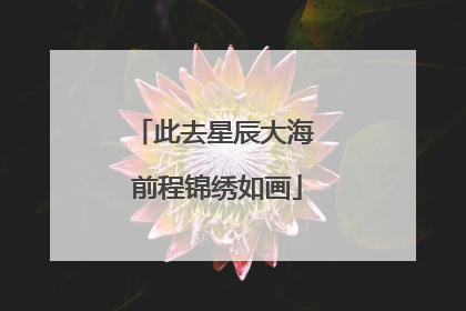 此去星辰大海 前程锦绣如画