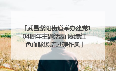武昌紫阳街道举办建党104周年主题活动 赓续红色血脉锻造过硬作风