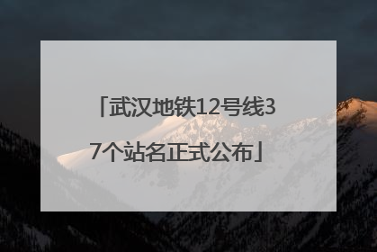 武汉地铁12号线37个站名正式公布