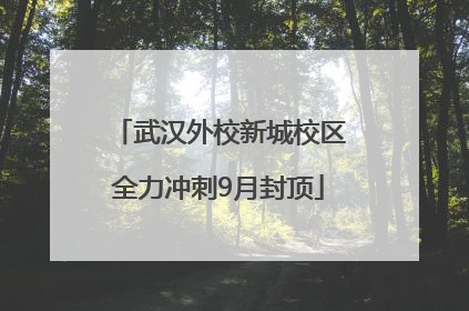 武汉外校新城校区全力冲刺9月封顶
