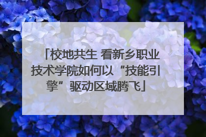 校地共生 看新乡职业技术学院如何以“技能引擎”驱动区域腾飞