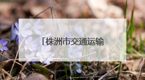 株洲市交通运输局开展“银龄端午福满情”活动