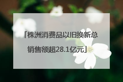 株洲消费品以旧换新总销售额超28.1亿元