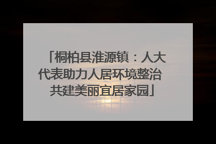 桐柏县淮源镇：人大代表助力人居环境整治 共建美丽宜居家园