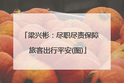 梁兴彬：尽职尽责保障旅客出行平安(图)
