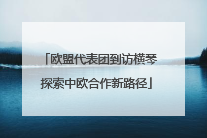 欧盟代表团到访横琴 探索中欧合作新路径