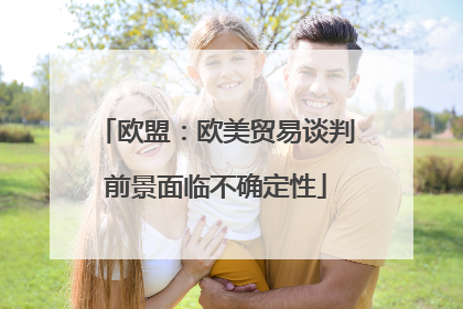 欧盟：欧美贸易谈判前景面临不确定性
