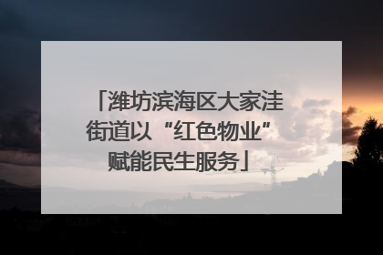 潍坊滨海区大家洼街道以“红色物业”赋能民生服务