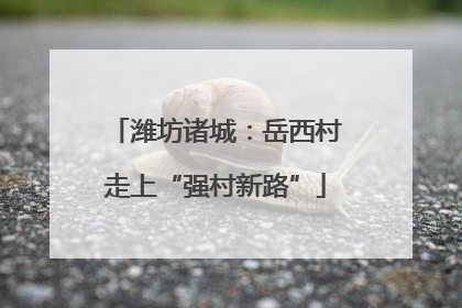 潍坊诸城：岳西村走上“强村新路”