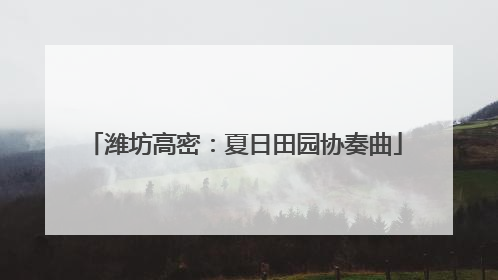 潍坊高密：夏日田园协奏曲