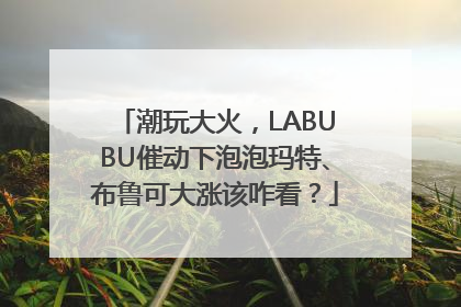 潮玩大火，LABUBU催动下泡泡玛特、布鲁可大涨该咋看？