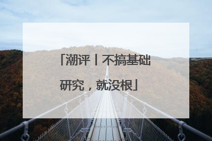 潮评丨不搞基础研究，就没根