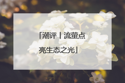 潮评丨流萤点亮生态之光