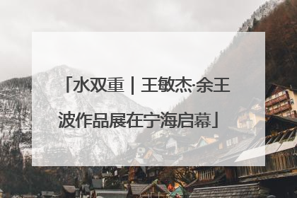 水双重｜王敏杰·余王波作品展在宁海启幕