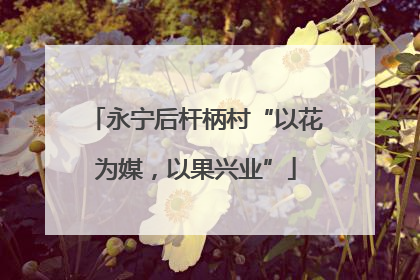 永宁后杆柄村“以花为媒，以果兴业”