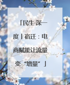 民生·深一度丨宿迁：电商赋能让流量变“增量”