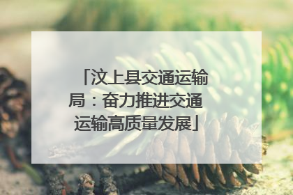 汶上县交通运输局：奋力推进交通运输高质量发展
