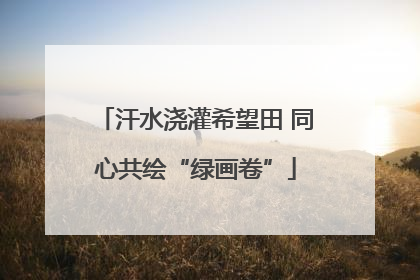 汗水浇灌希望田 同心共绘“绿画卷”