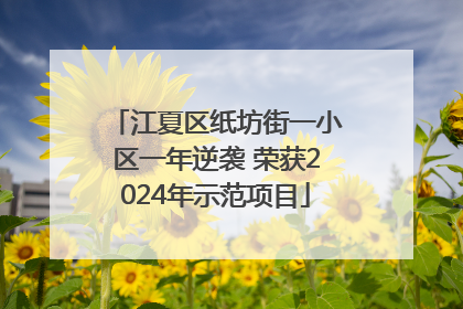 江夏区纸坊街一小区一年逆袭 荣获2024年示范项目