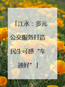 江永：多元公交服务打造民生可感“车通好”