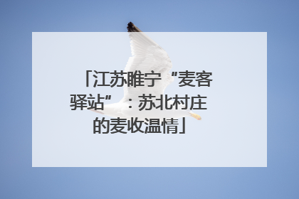 江苏睢宁“麦客驿站”：苏北村庄的麦收温情