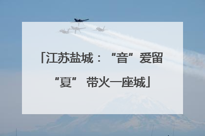 江苏盐城：“音”爱留“夏” 带火一座城